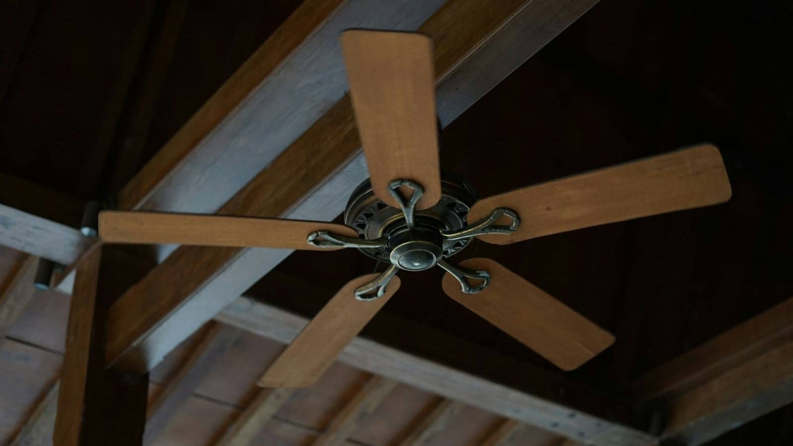 Timber ceiling fan with five blades under exposed rafters