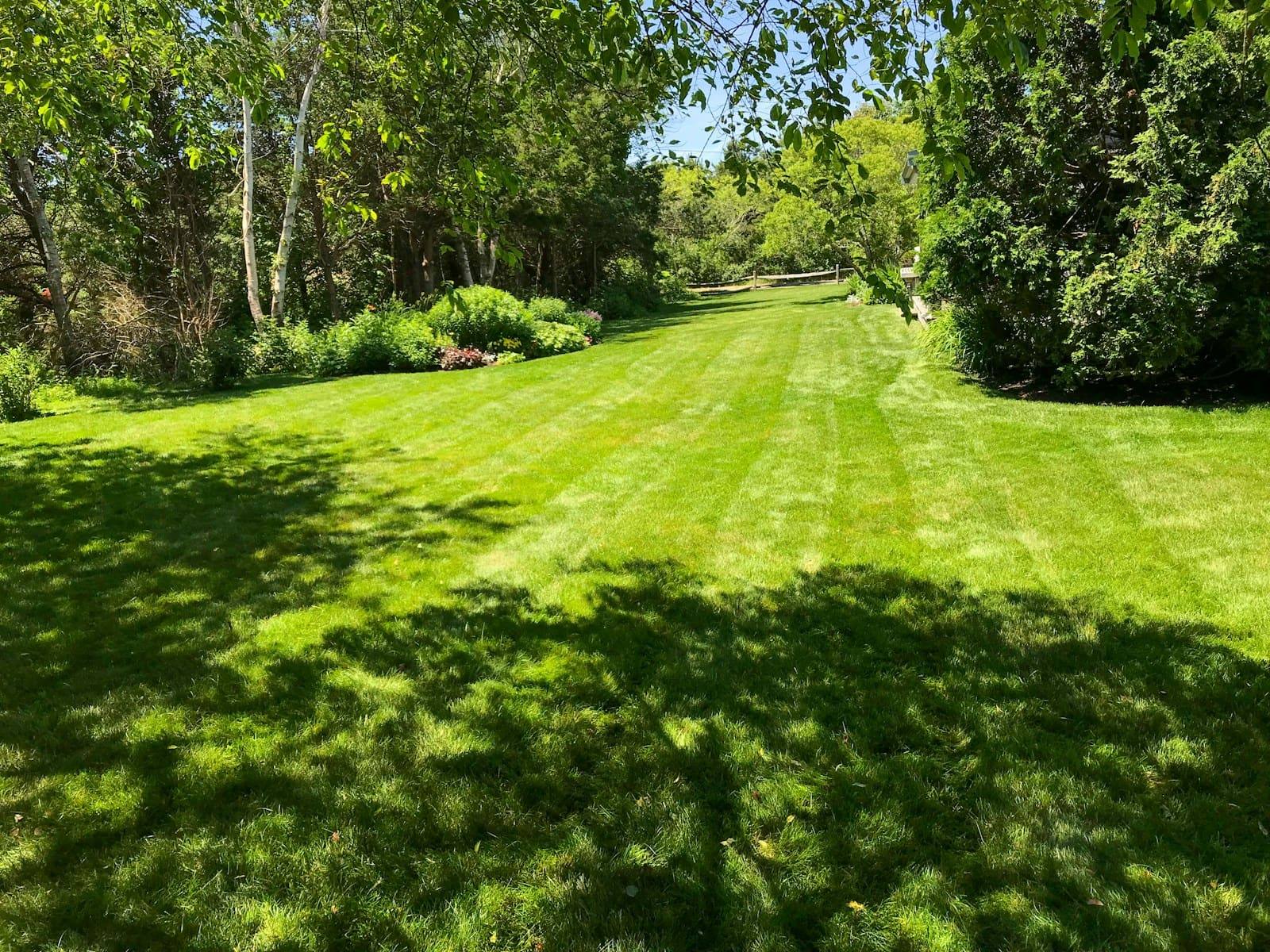 Freshly mown lawn with neat stripes beside garden beds